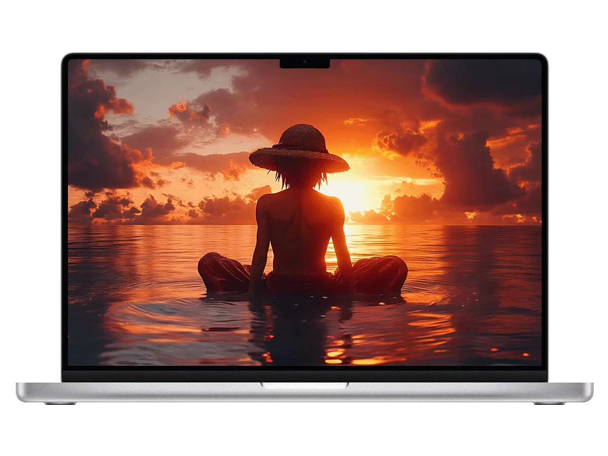 海贼王 路飞 草帽 背影 夕阳 大海 二次元 治愈风 电脑动态壁纸