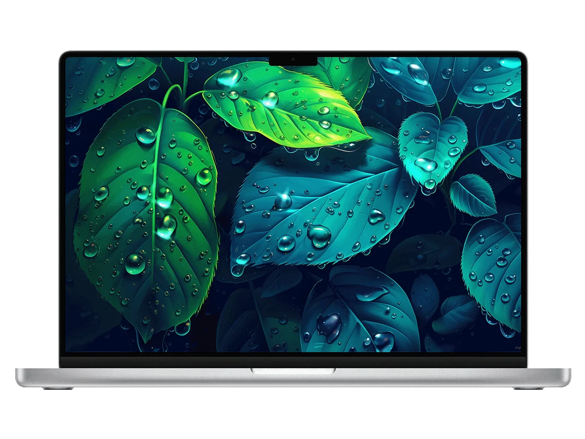 绿叶 水珠 清新 治愈 自然 护眼 氛围感 电脑动态壁纸