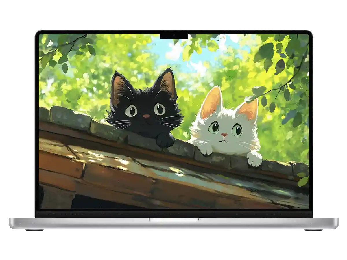 黑白小猫 屋顶 夏日绿意 治愈 萌系 清新感 电脑壁纸