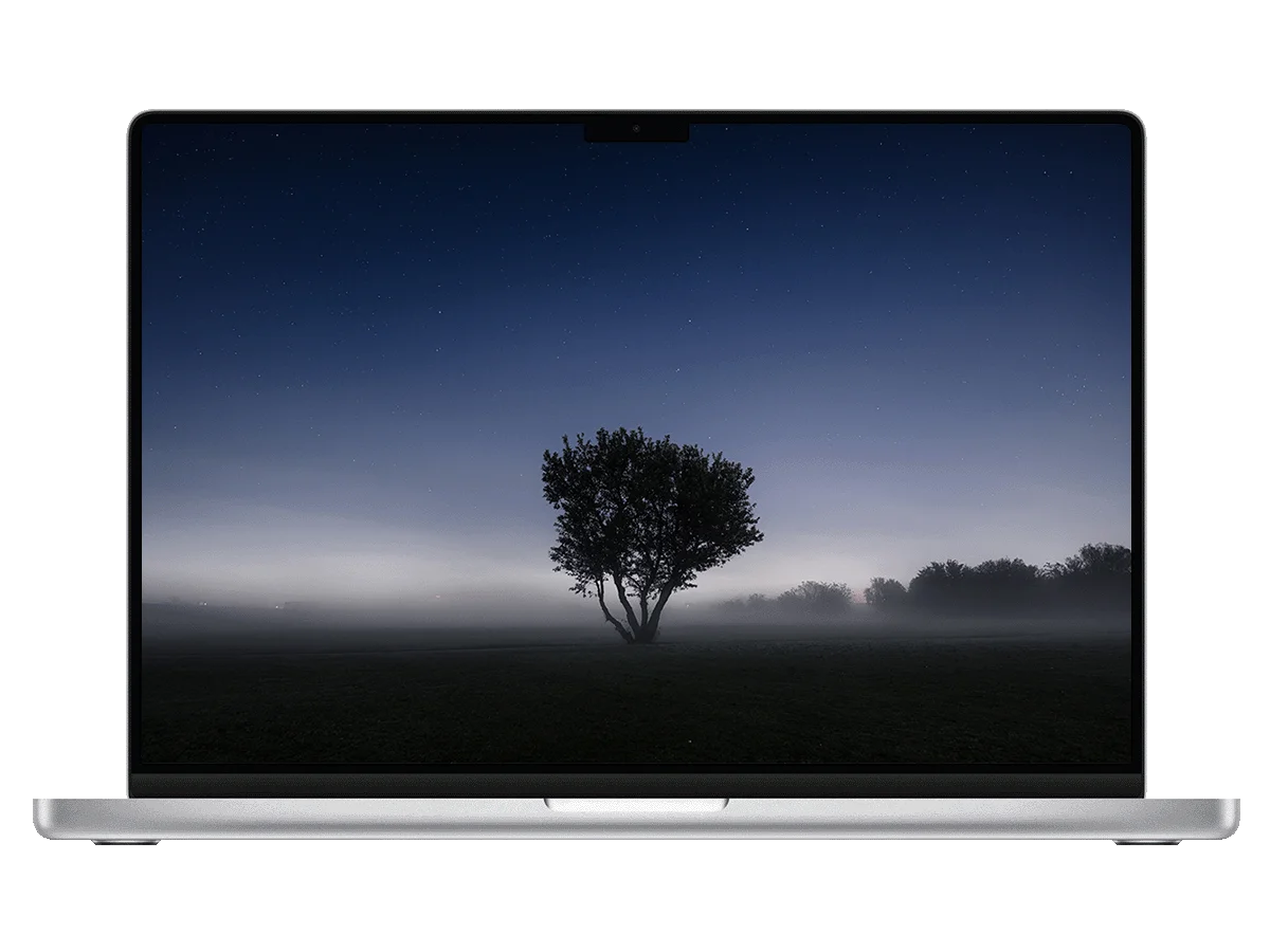 孤树 星空 晨雾 旷野 静谧 清冷 电脑壁纸