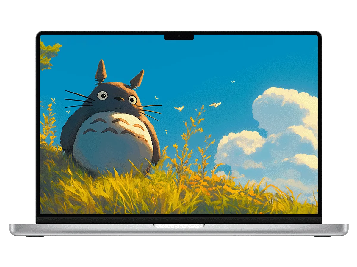 龙猫 多多洛 吉卜力 宫崎骏 草地 晴空 治愈 童年 电脑壁纸