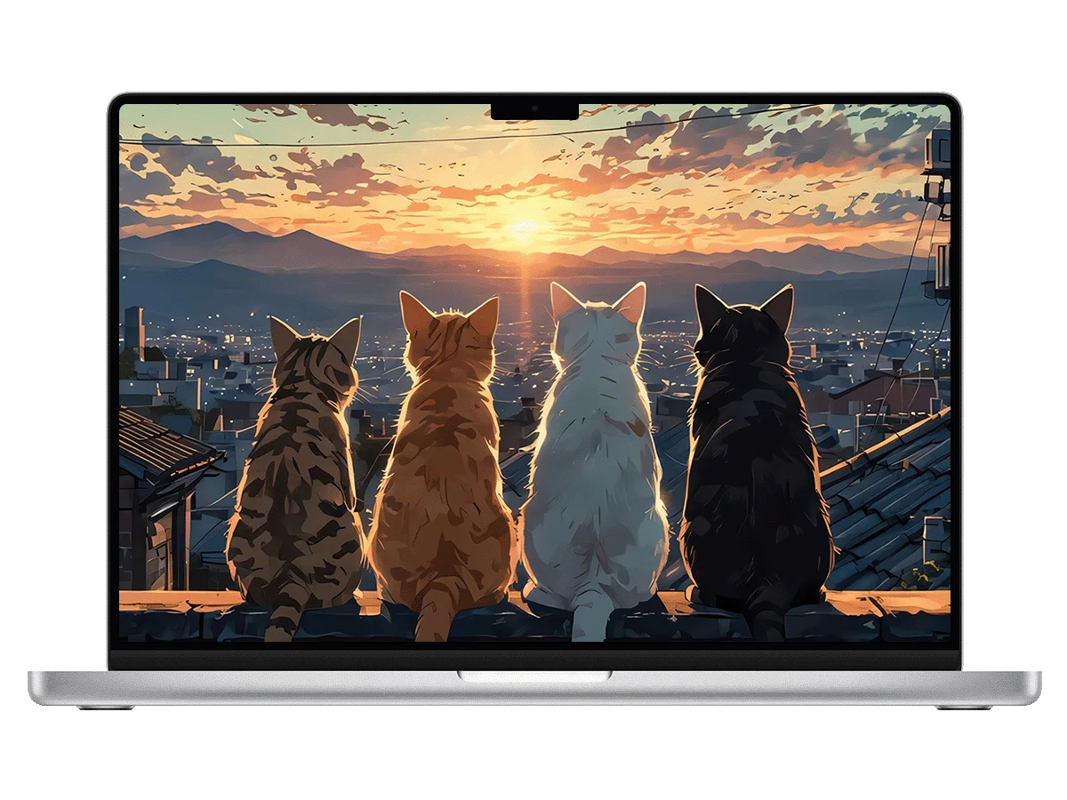 猫咪 屋顶 日落 城市景观 治愈 温馨 背影 电脑壁纸